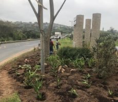 Spring Clean Scottburgh – Round 1 – Creating a beautiful entrance to Scottburgh