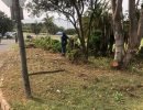 Spring Clean Scottburgh – Round 2 – Clearing Allen Street