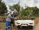 Spring Clean Scottburgh – Round 2 – Clearing Allen Street