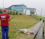 General Maintenance & Upkeep at Scottburgh Main Beach