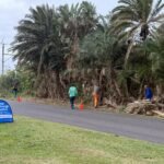 Spring Clean Scottburgh Campaign - Round 2 - Allen Street