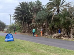 Spring Clean Scottburgh Campaign - Round 2 - Allen Street