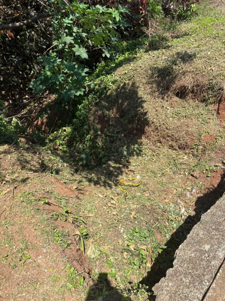 Marine Terrace Clean-Up | Phase 1 | Keep Scottburgh Beautiful