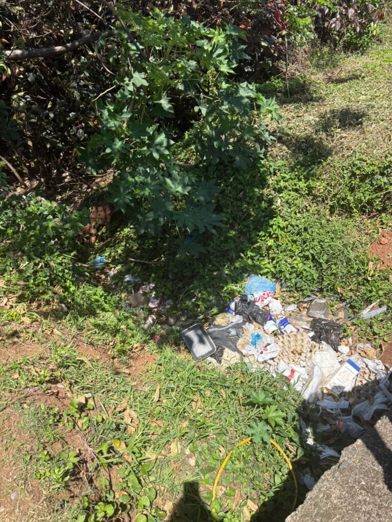 Marine Terrace Clean-Up | Phase 1 | Keep Scottburgh Beautiful