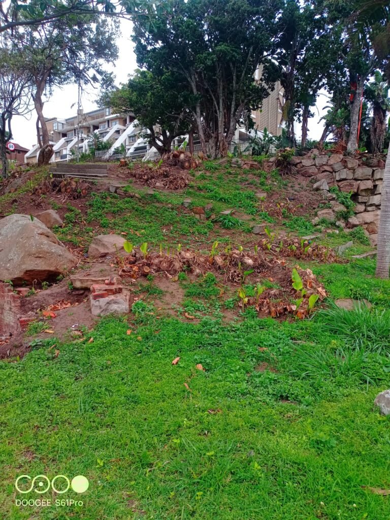 Waterfall Revamp at Scottburgh Entrance