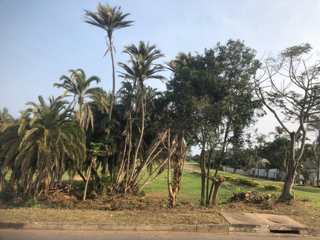 Spring Clean Scottburgh Campaign - Round 2 - Allen Street