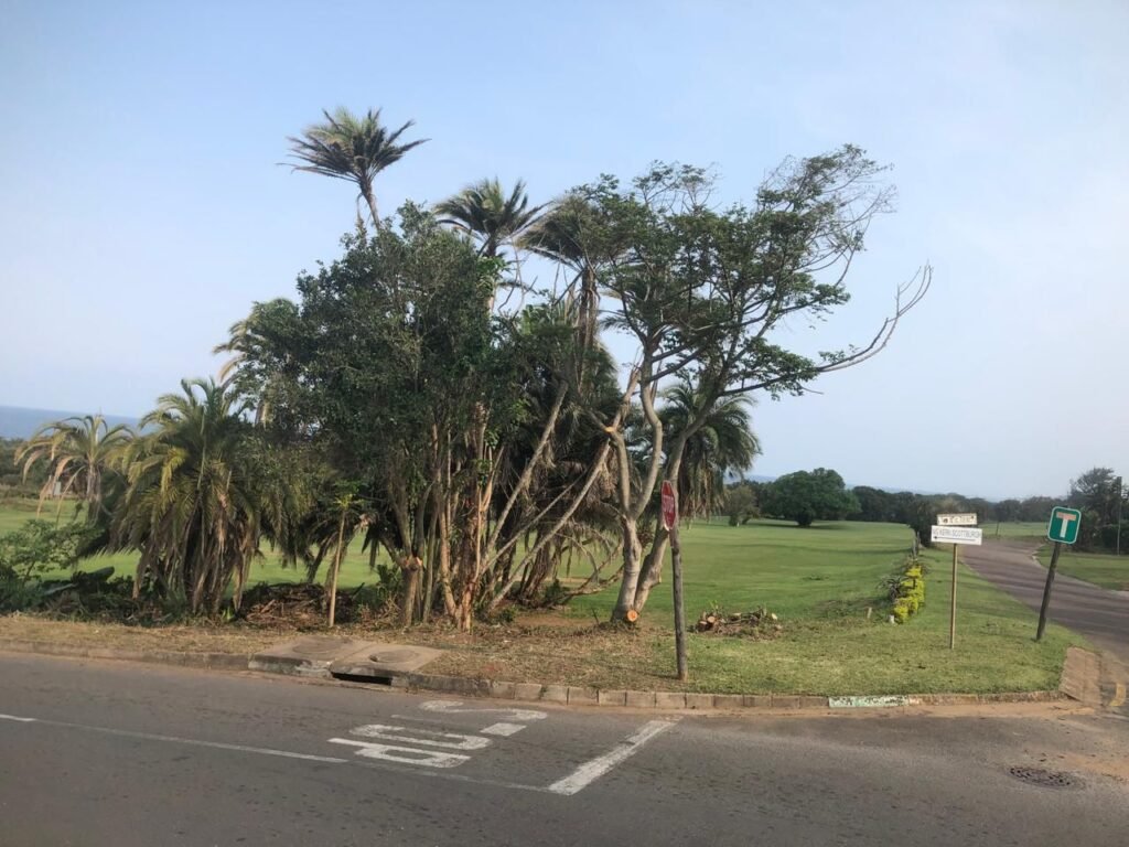 Spring Clean Scottburgh Campaign - Round 2 - Allen Street