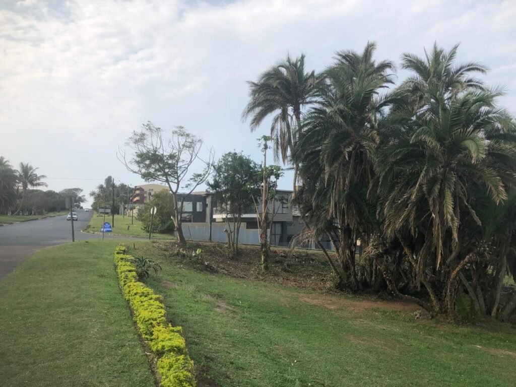 Spring Clean Scottburgh Campaign - Round 2 - Allen Street