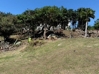 Spring Clean Round 1 - Cleared Brush