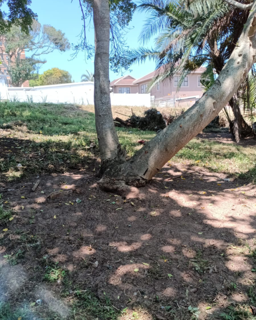 Scottburgh Community Park Project - Work in Progress