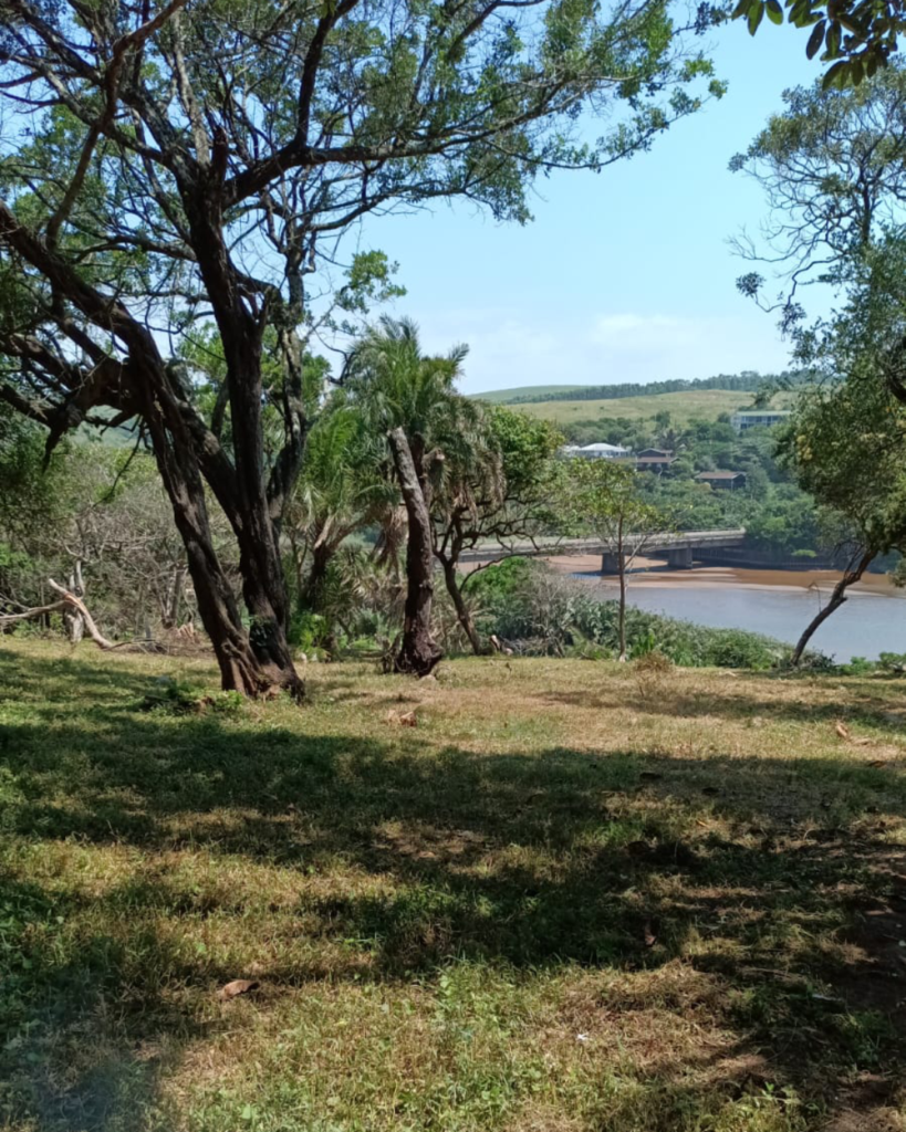 Scottburgh Community Park Project - Work in Progress