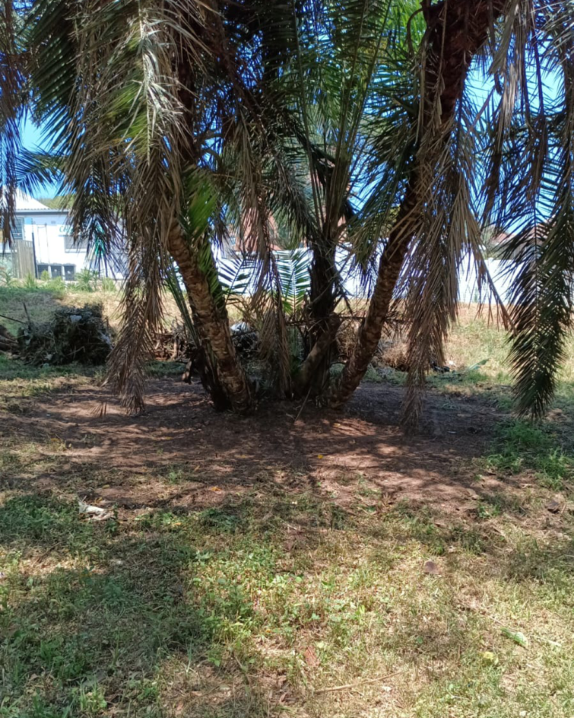 Scottburgh Community Park Project - Work in Progress