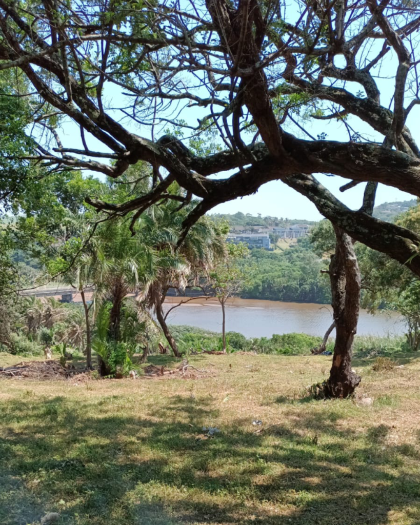 Scottburgh Community Park Project - Work in Progress