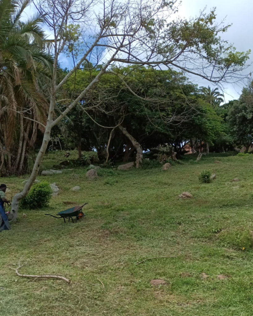 Scottburgh Community Park Project - Work in Progress