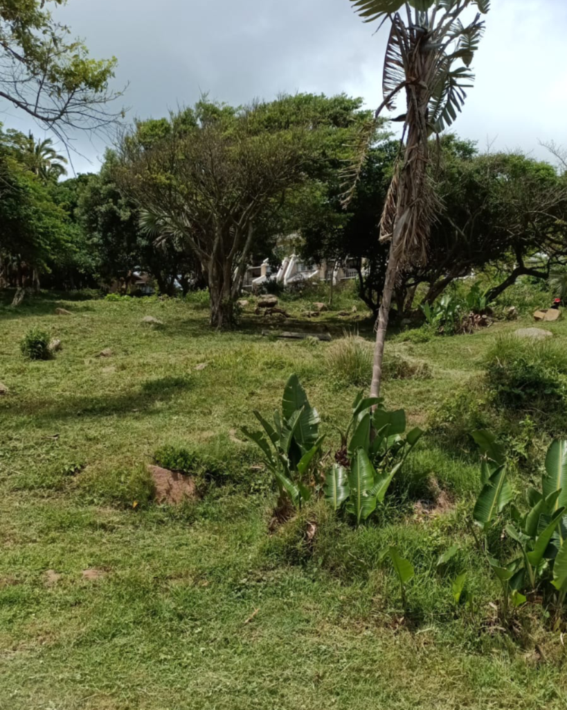 Scottburgh Community Park Project - Work in Progress