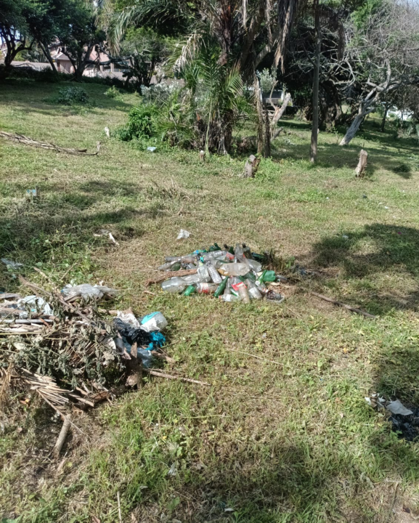 Scottburgh Community Park Project - Work in Progress